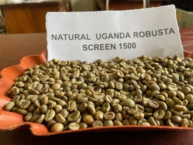Natural Uganda Robusta 1500
