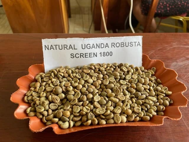 Natural Uganda Robusta 1800