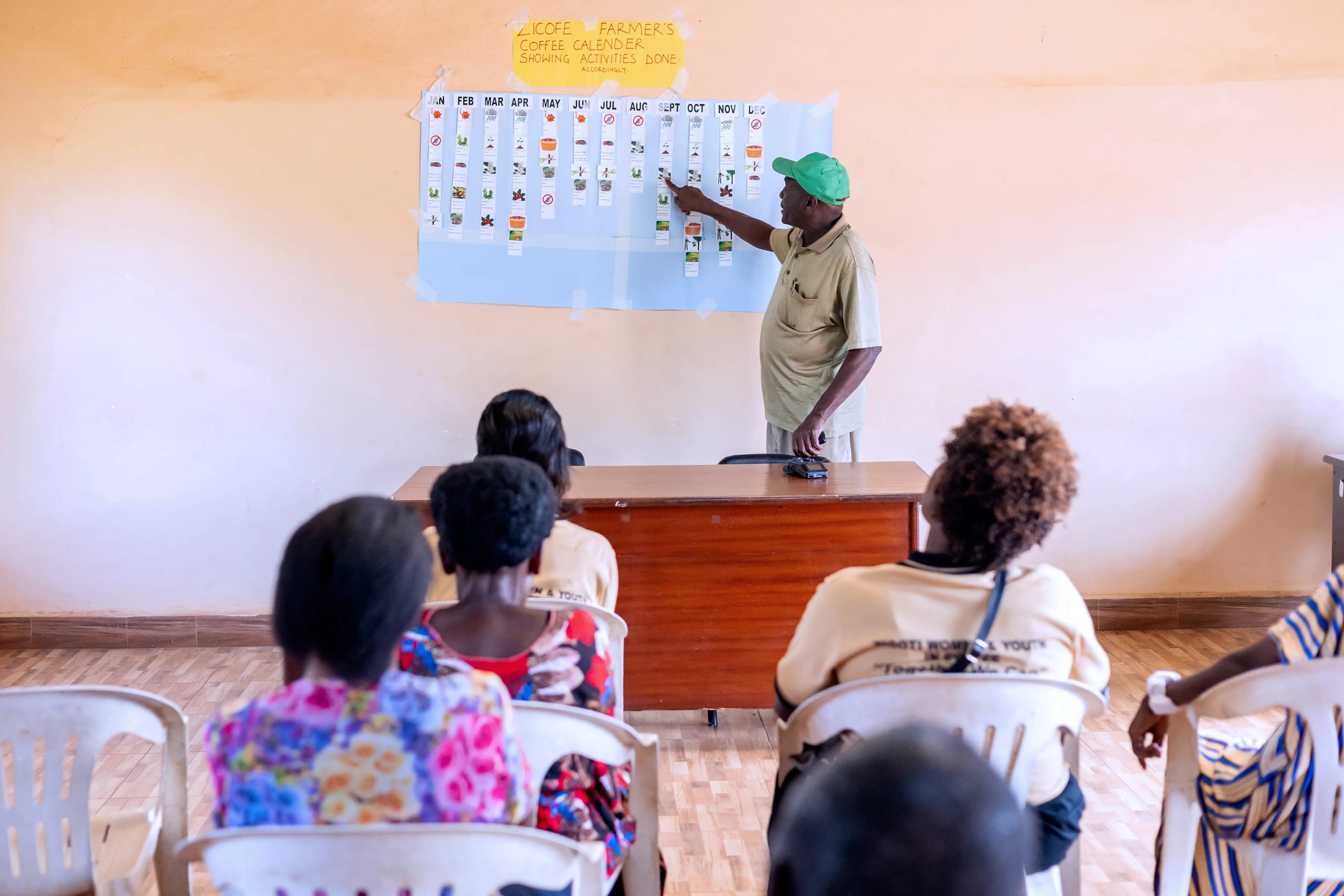 Mountain landscape coffee farming area
